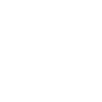 Website Analysis