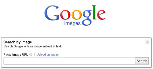 Google search by image