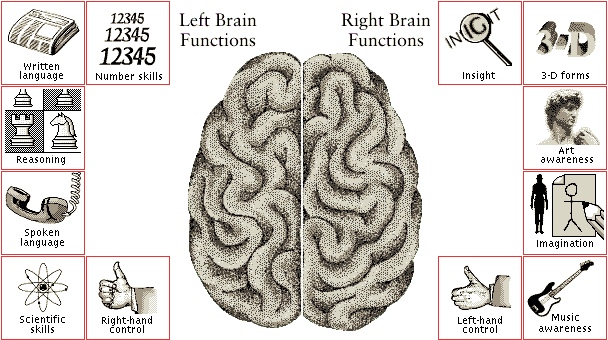 Right-Brain-vs-Left-Brain-Function