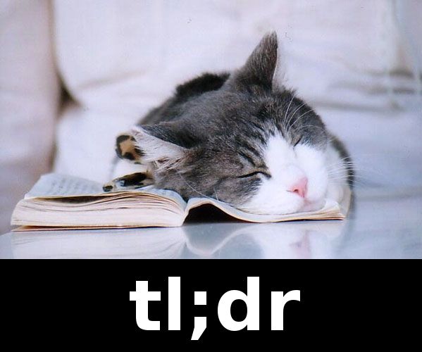 TL;DR cat meme