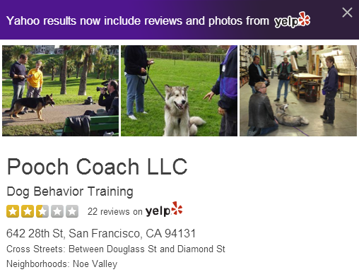 A screenshot of Pooch Coach’s current Yahoo Local listing