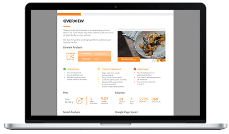 Website Audit Report