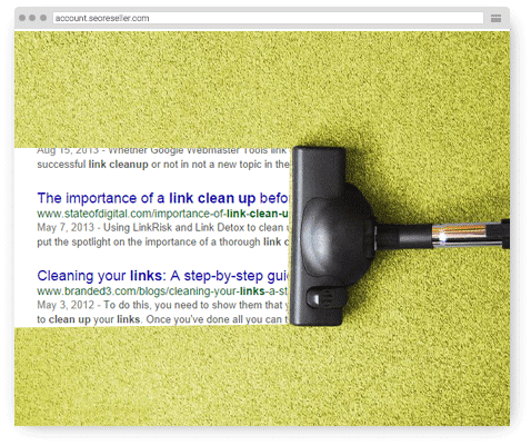 White Label Link Cleanup Services