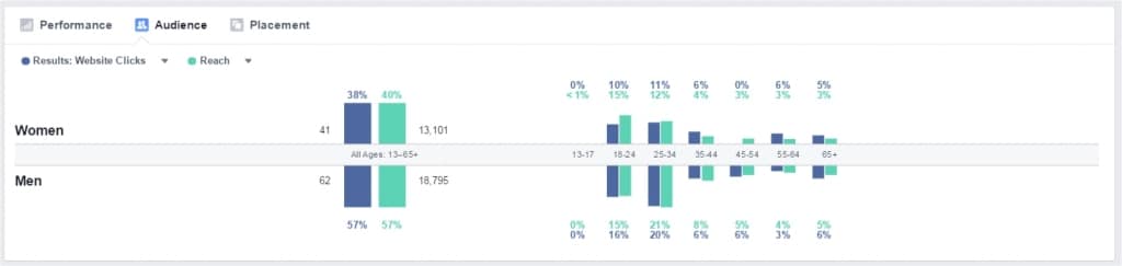 Campaign Audience Report