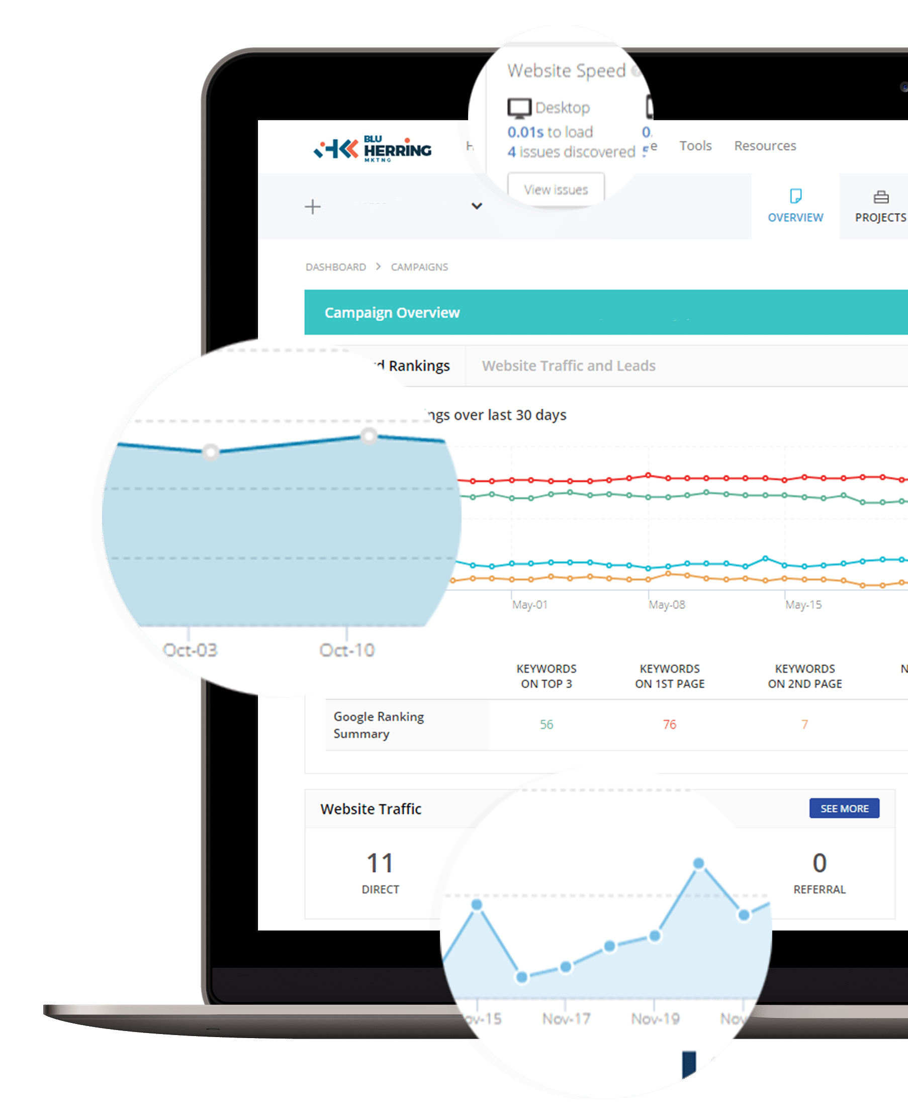 Local SEO Dashboard