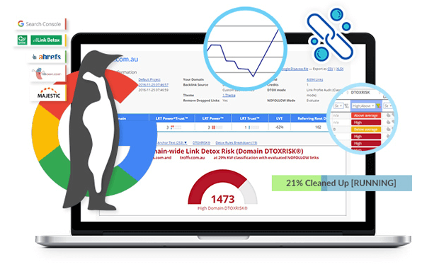 Link Cleanup Services