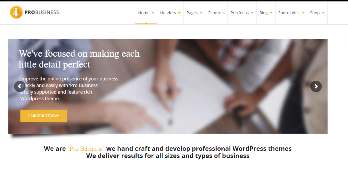 Pro Business WordPress Theme